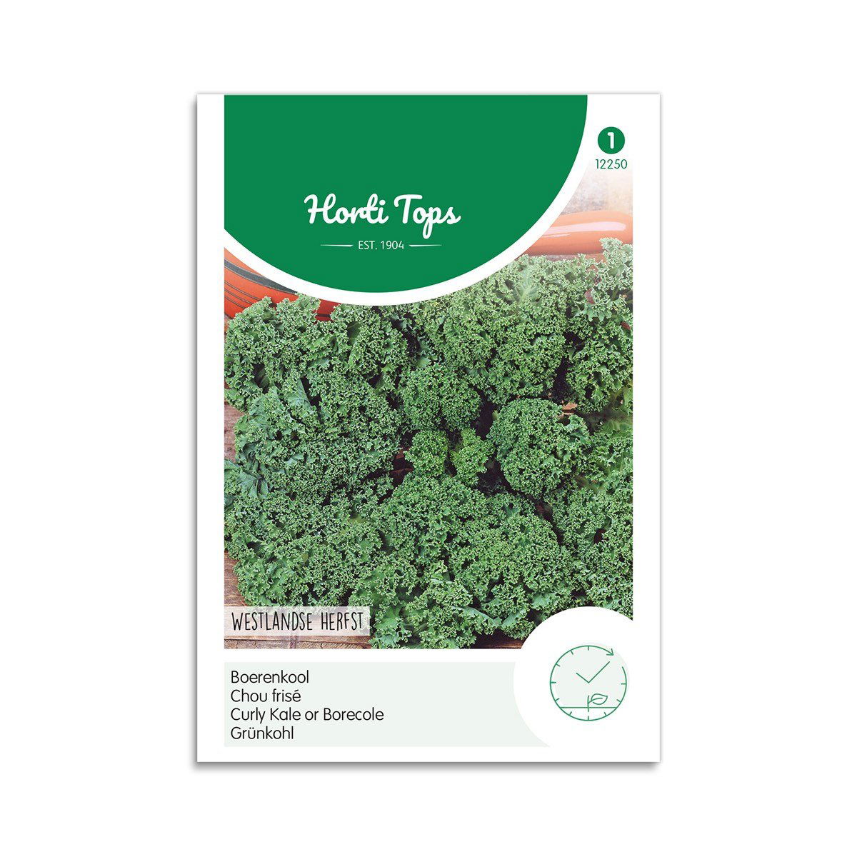 Grønkål frø - "Westland Autumn"