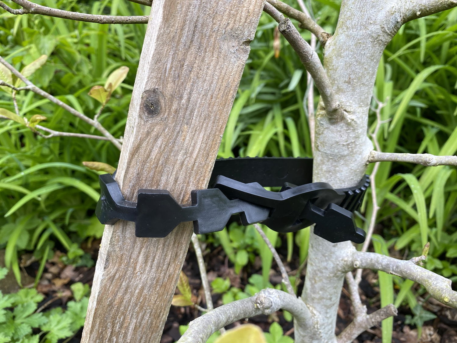 Sort plast træbinder mellem støttepæl og træ