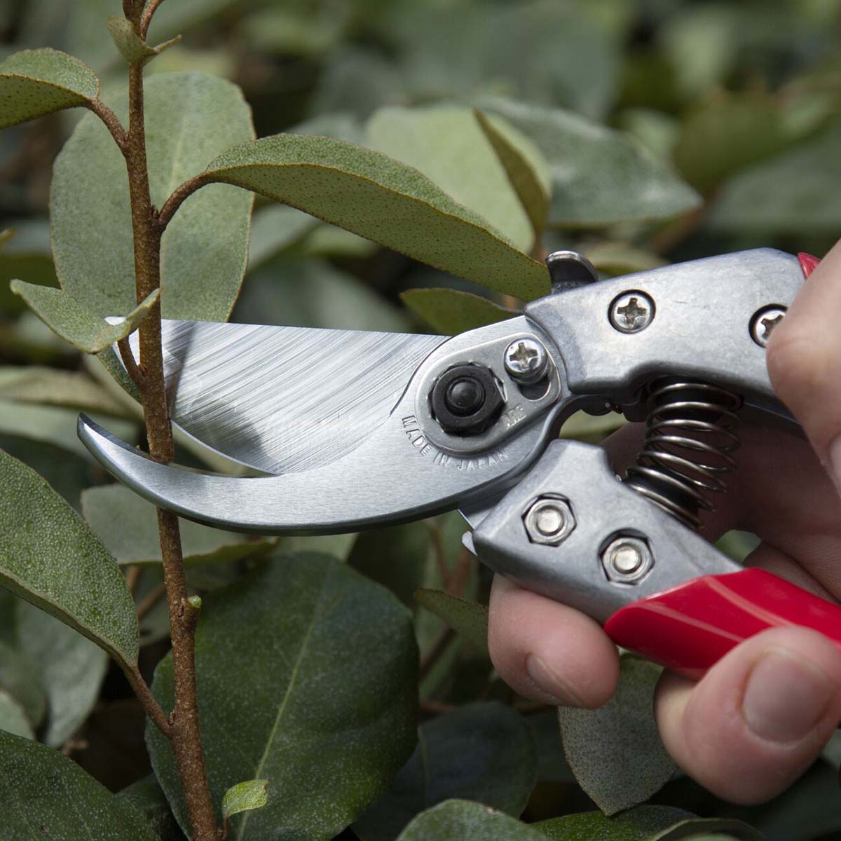 Hånd der beskærer gren med ergonomisk beskæresaks