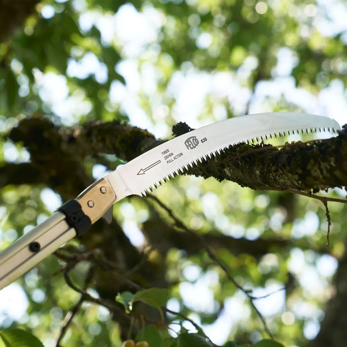 FELCO grensav på teleskopskaft til træbeskæring