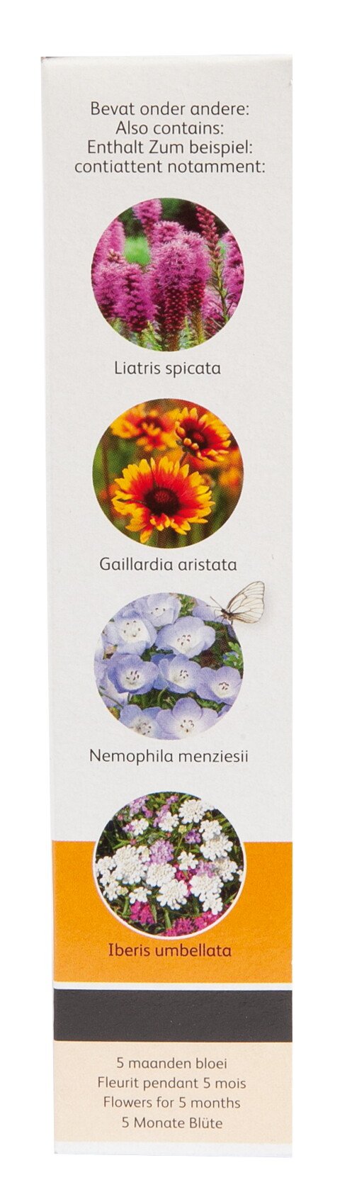 Frøpakke med Liatris, Gaillardia, Nemophila og Iberis blomst