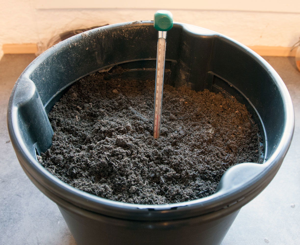 Jordtermometer måler temperatur i spand med jord