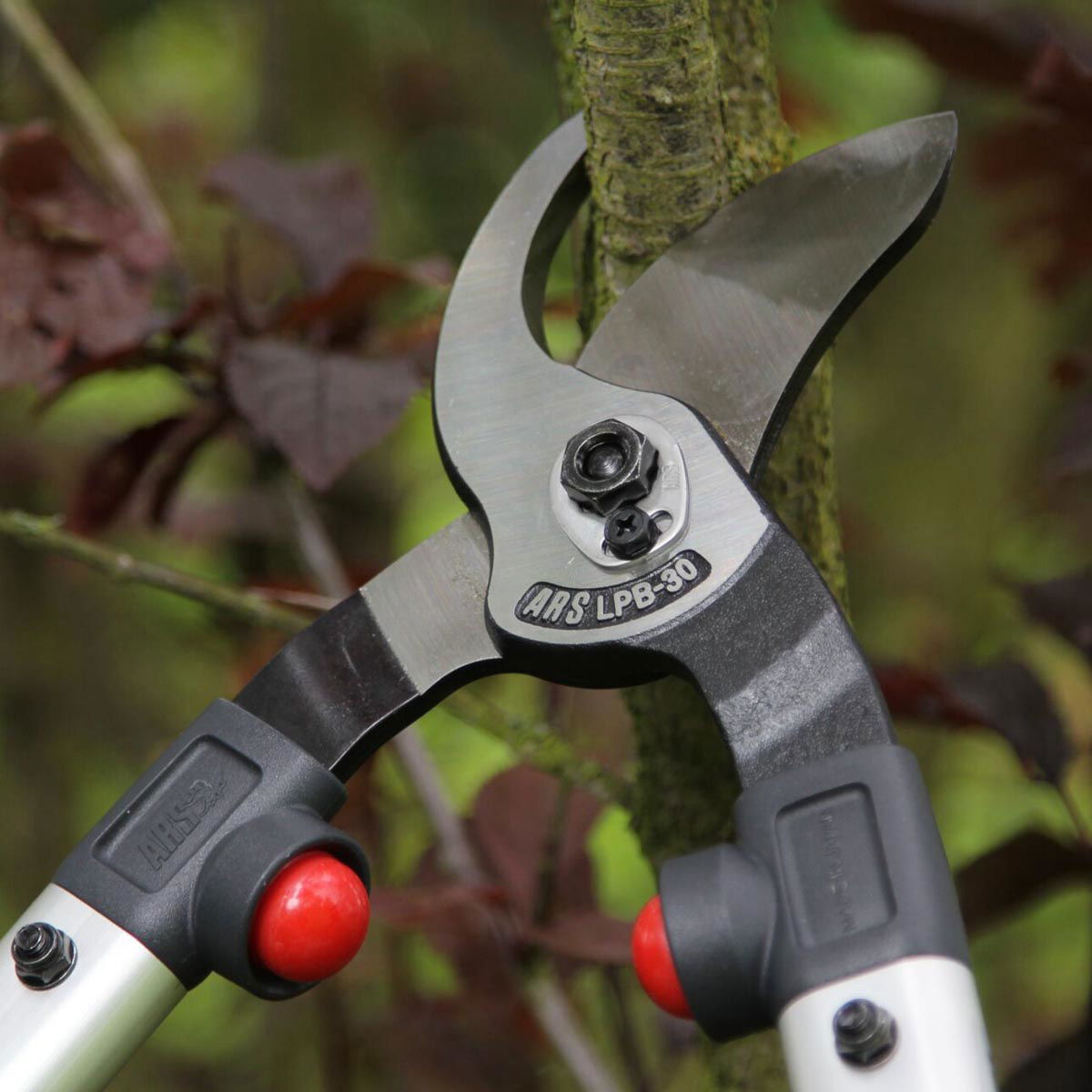 ARS LPB-30 grensaks, der beskærer en gren
