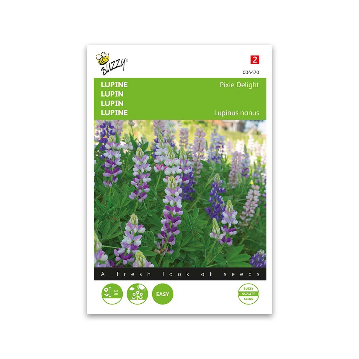 Lupin frø "Pixie delight mix" - Buzzy