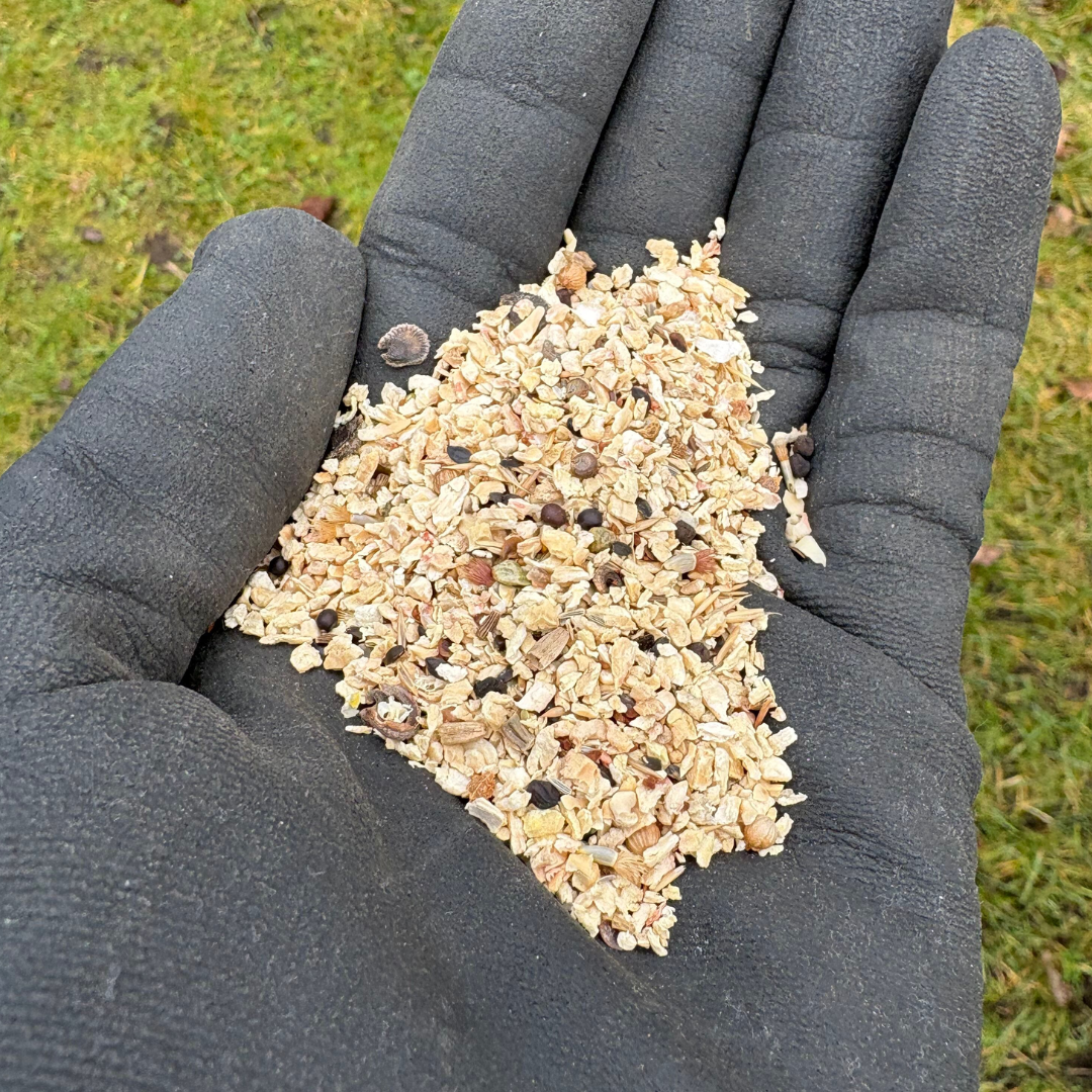 Blomsterblanding Efterårsblomster - 100 m2