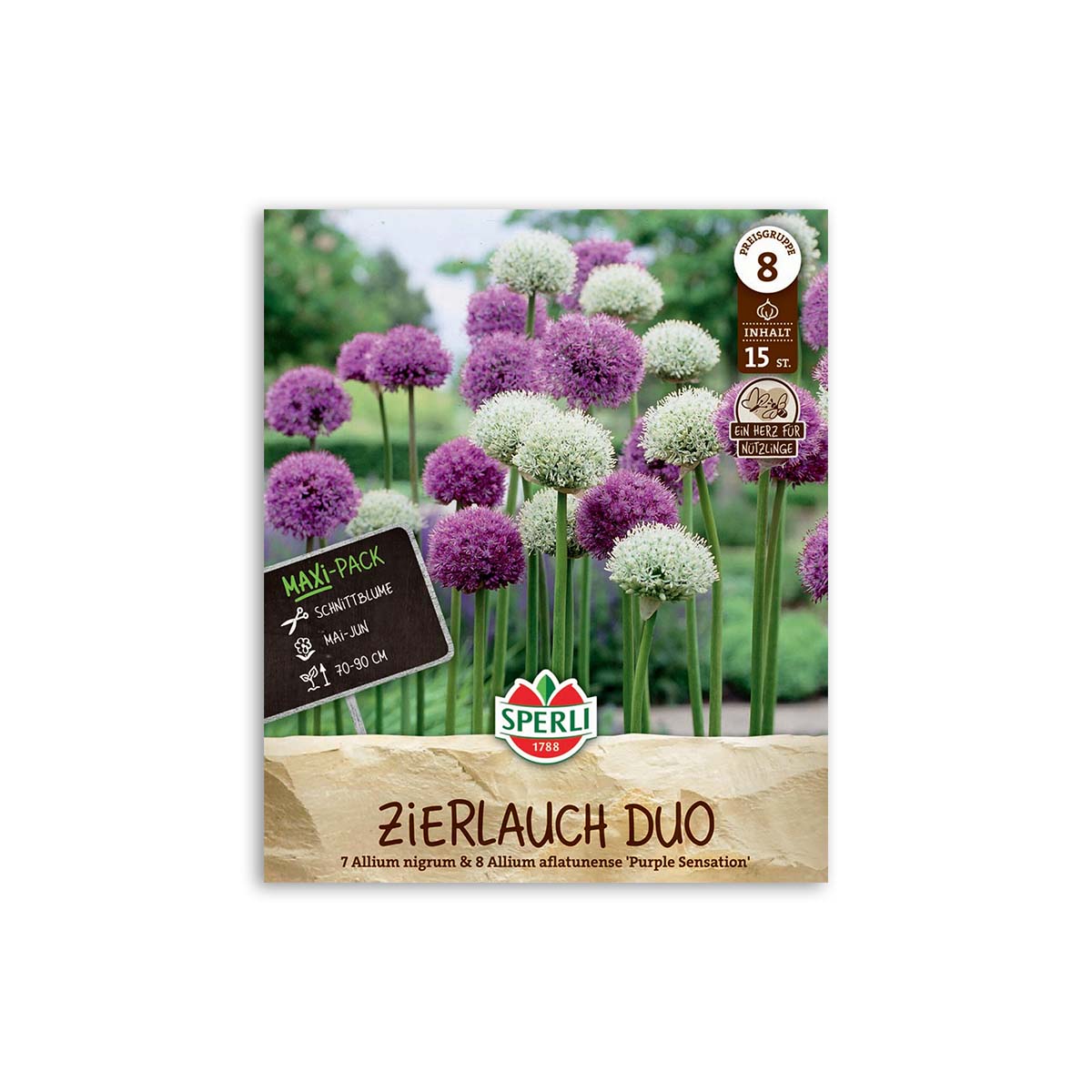 Sperli Zierløg Duo blomsterløg i lilla og hvid