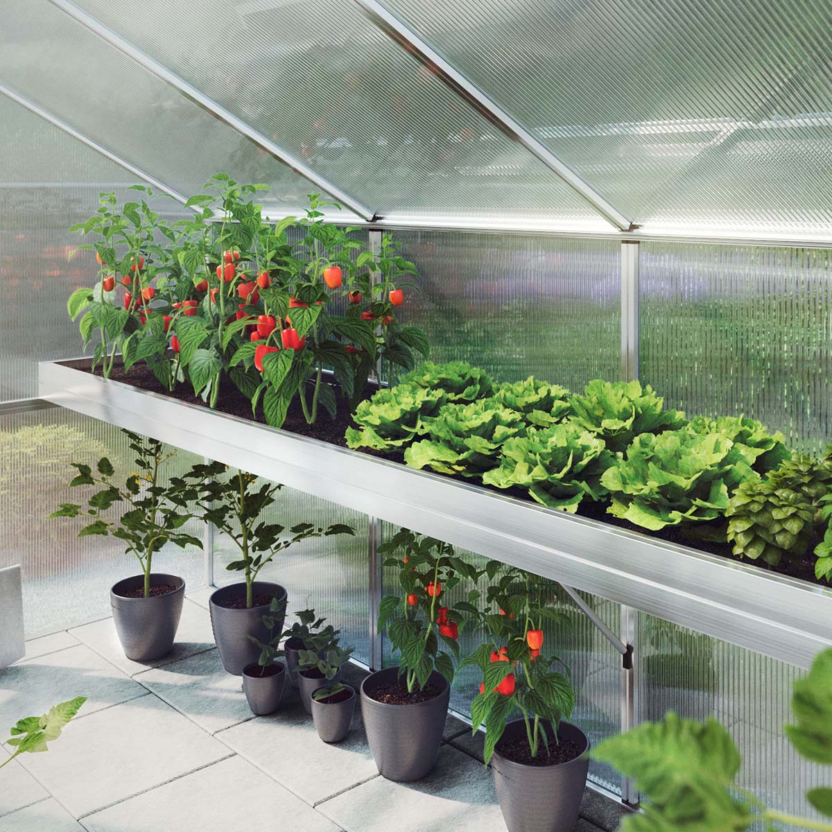 Plantebakke - Rhodo III