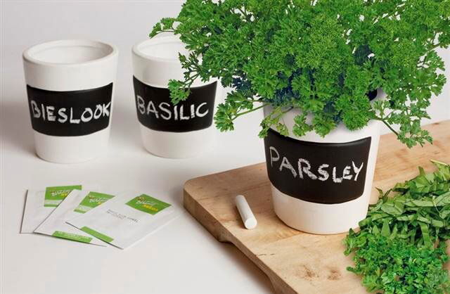 Purløg, basilikum og persille i hvide urtepotter