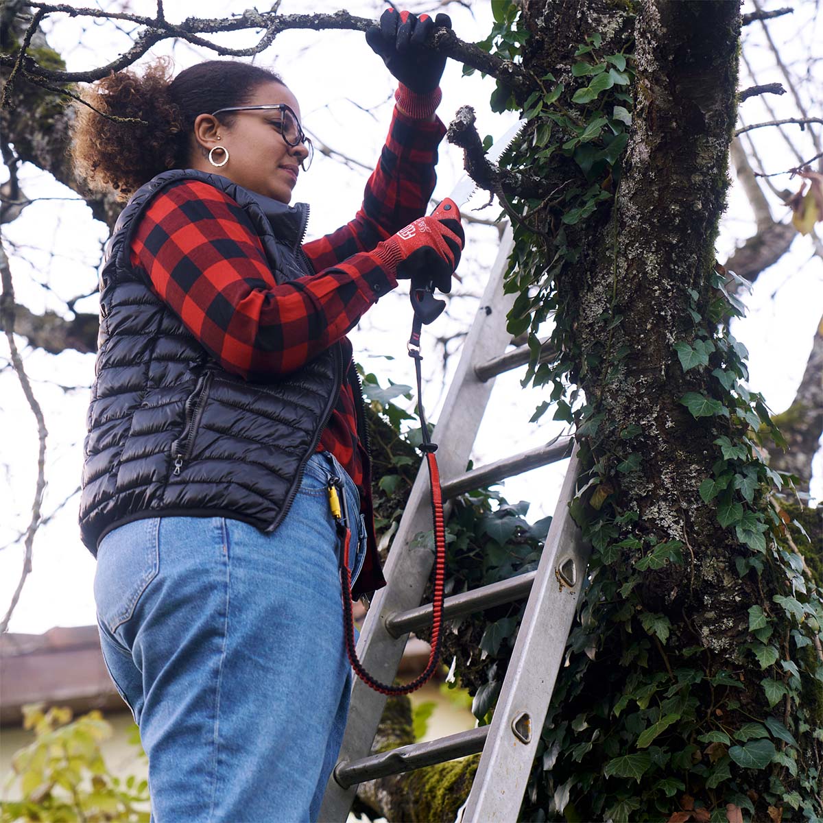 Person beskærer trægrene med håndsav fra stige