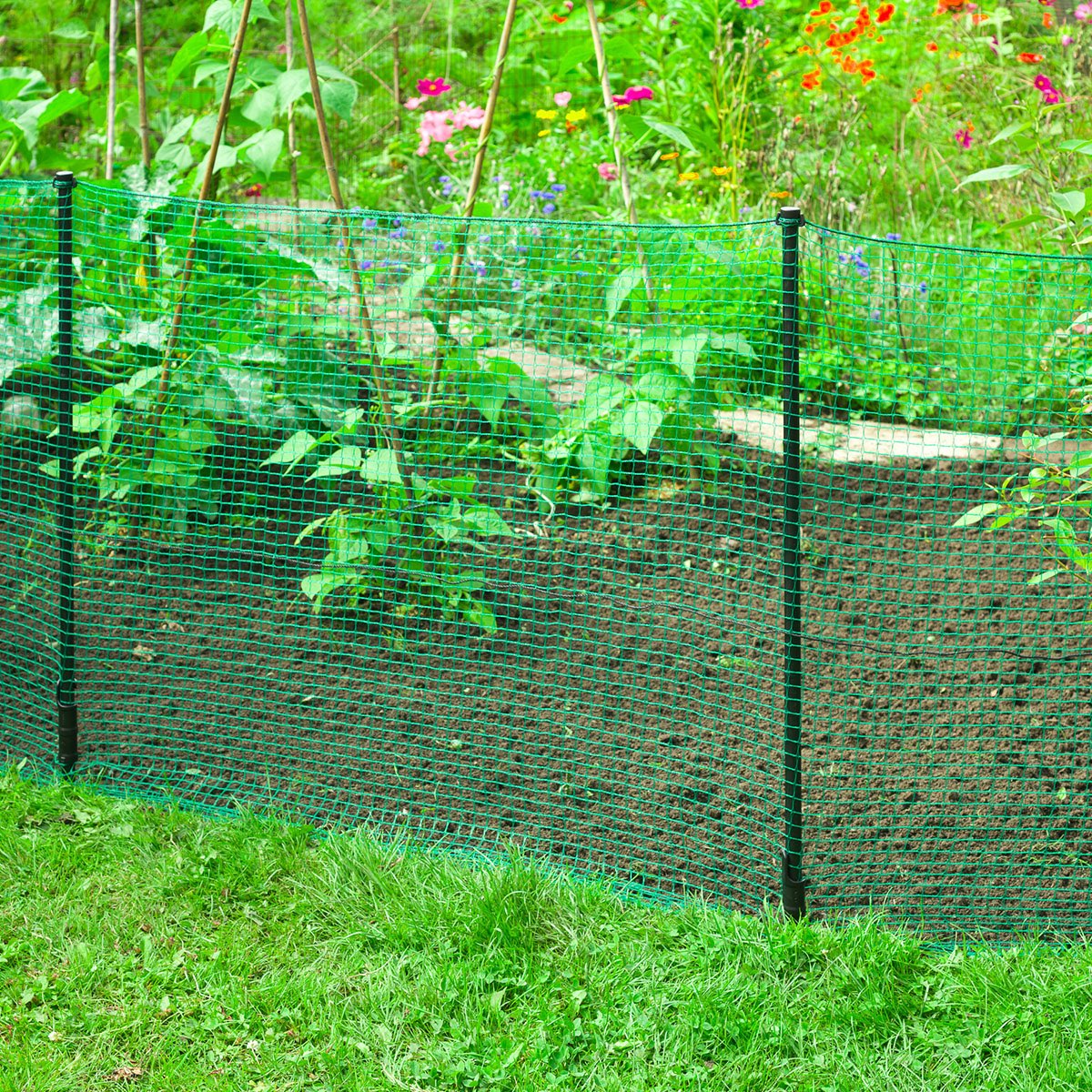 Grønt nethegn rundt om køkkenhave med planter