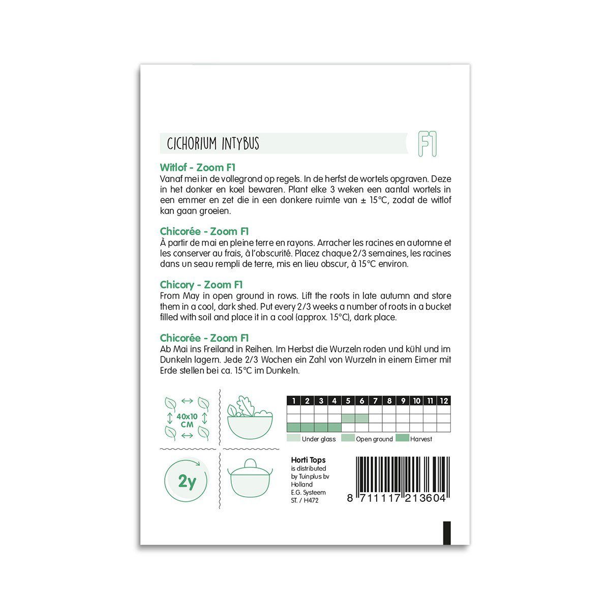 Bagside af Cikorie frøpose Cichorium intybus Zoom F1