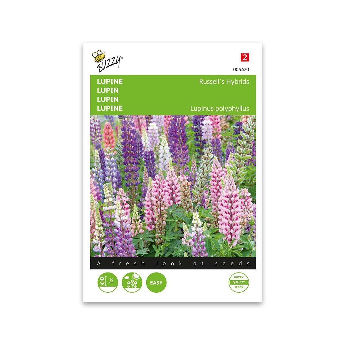 Lupin frø "Russells hybrids mix" - Buzzy