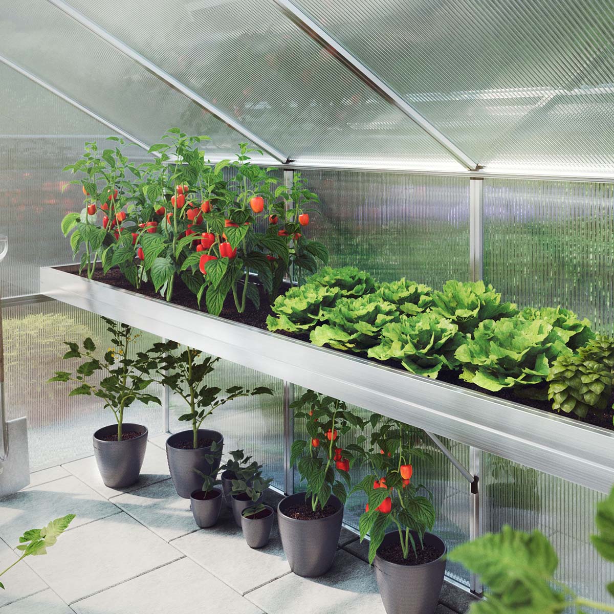 Plantebakke - Rose II