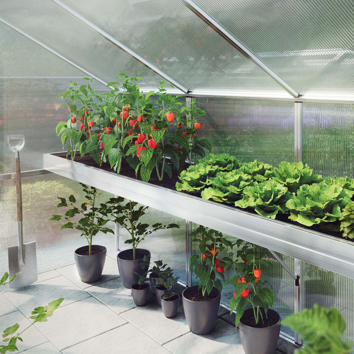 Plantebakke - Iris III