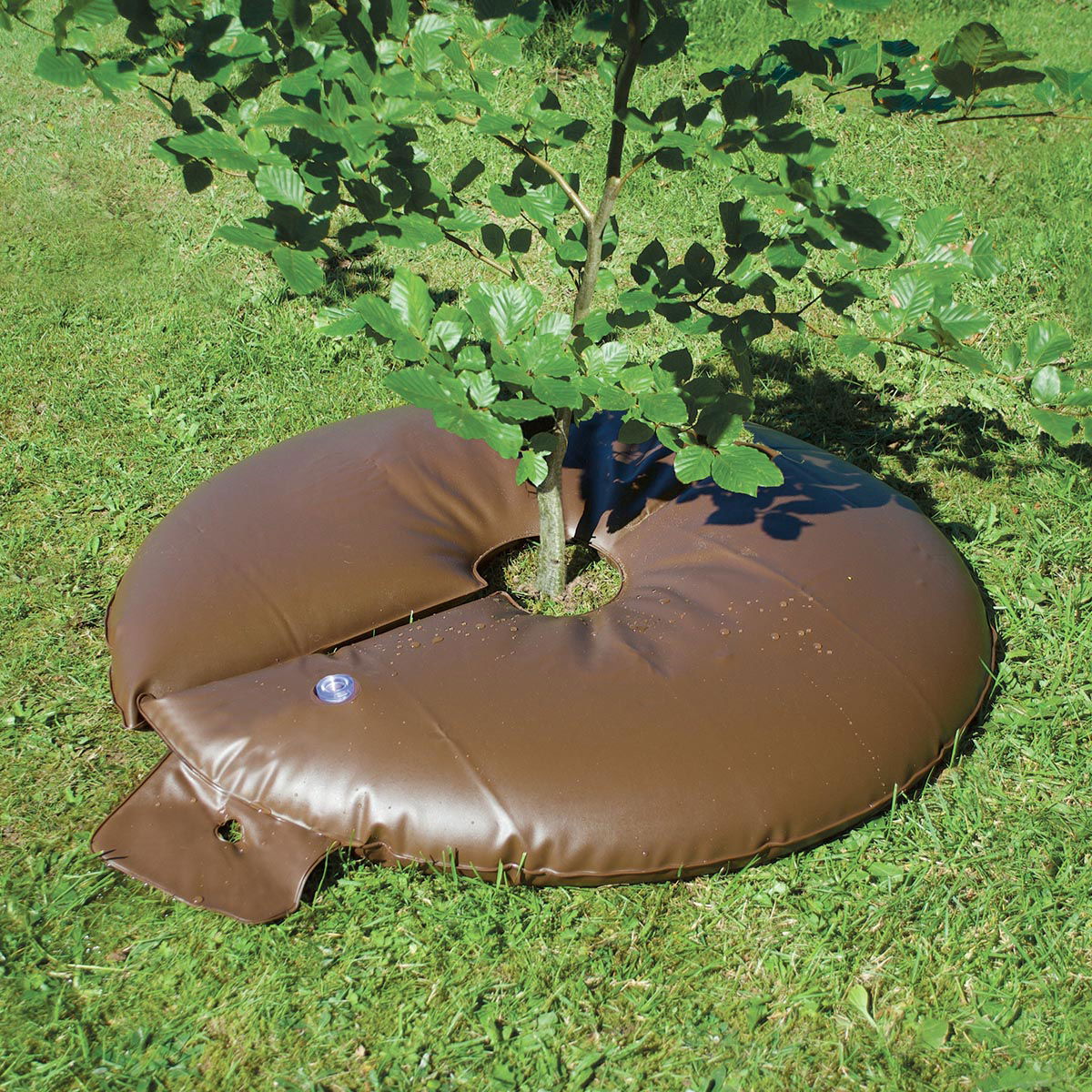 Brun vandingspose om stammen på et nyplantet træ