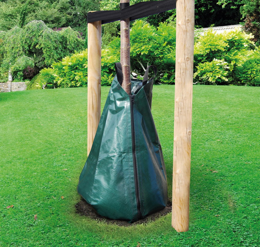 Grøn vandingspose omkring nyplantet træ