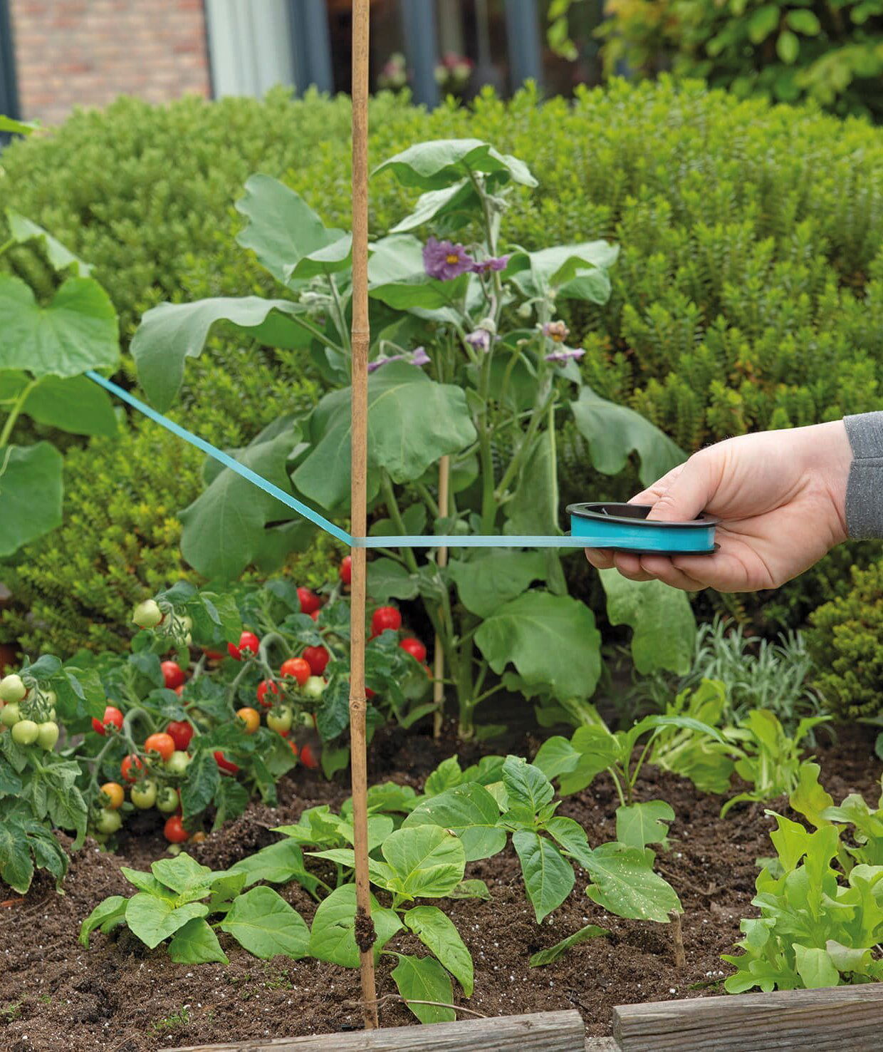 Havearbejde med blå plastiksnor om planter