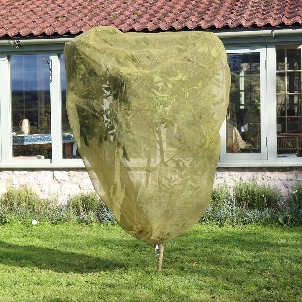 Lille træ dækket af beskyttende haveovertræk