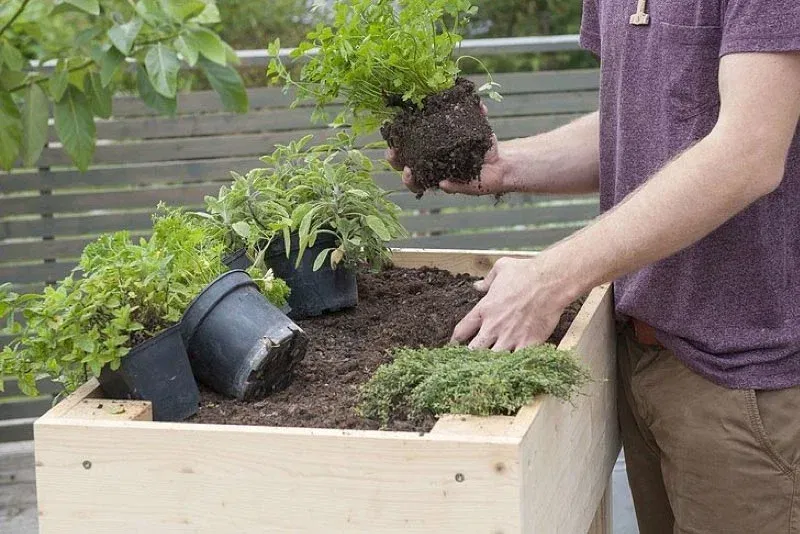 Potte til Planter: Den Ultimate Guiden for Perfekt Vekst