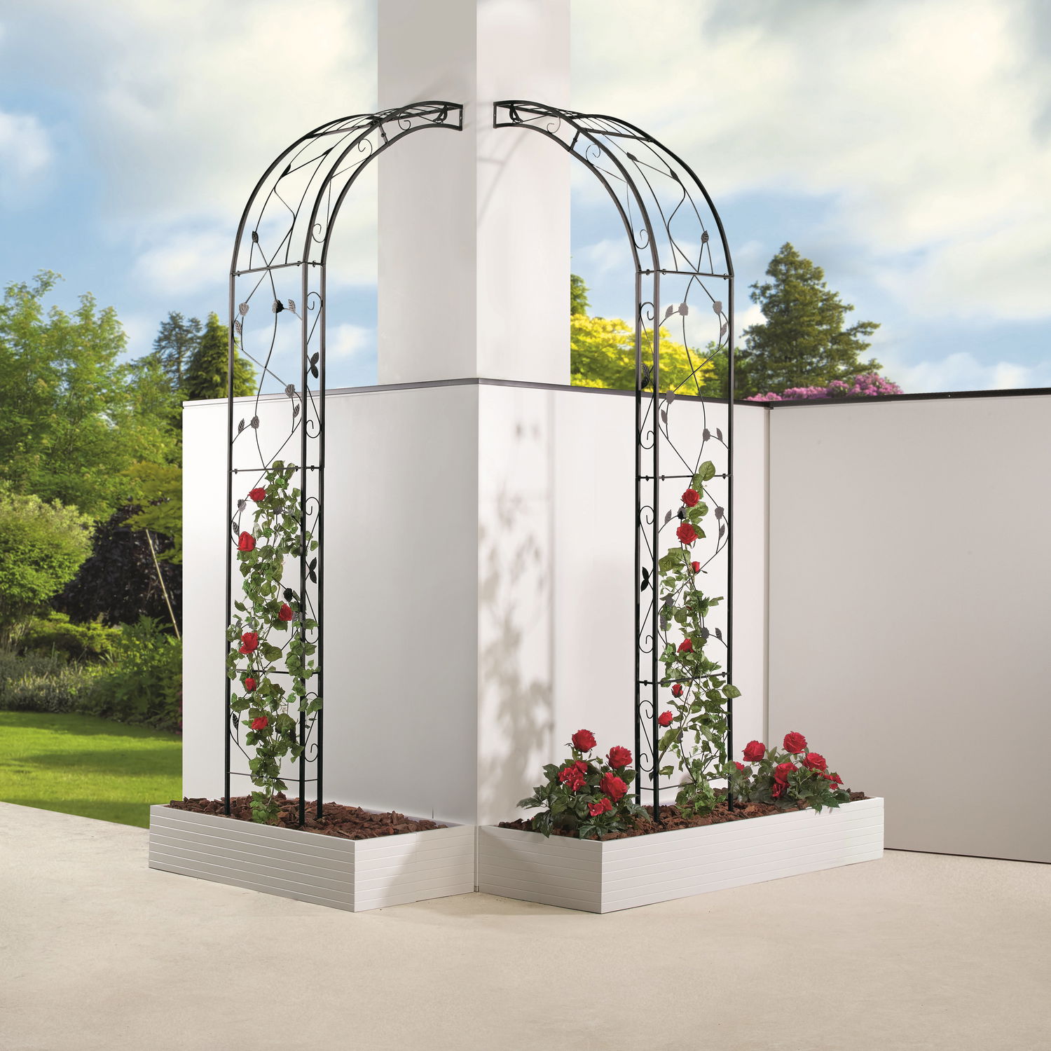 Rosenbue i metal med røde roser i hvide plantekasser