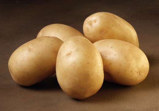 Fem friske hele kartofler på bord