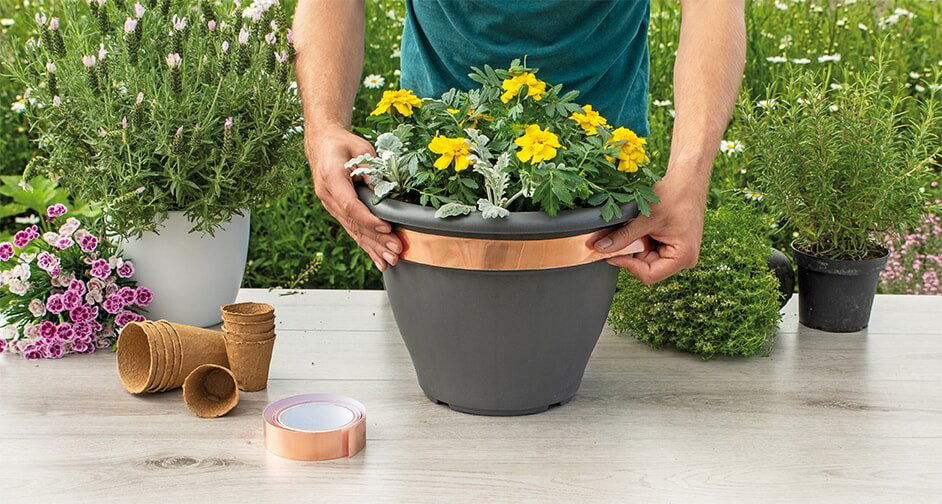 Person sætter kobbertape på en urtepotte med blomster