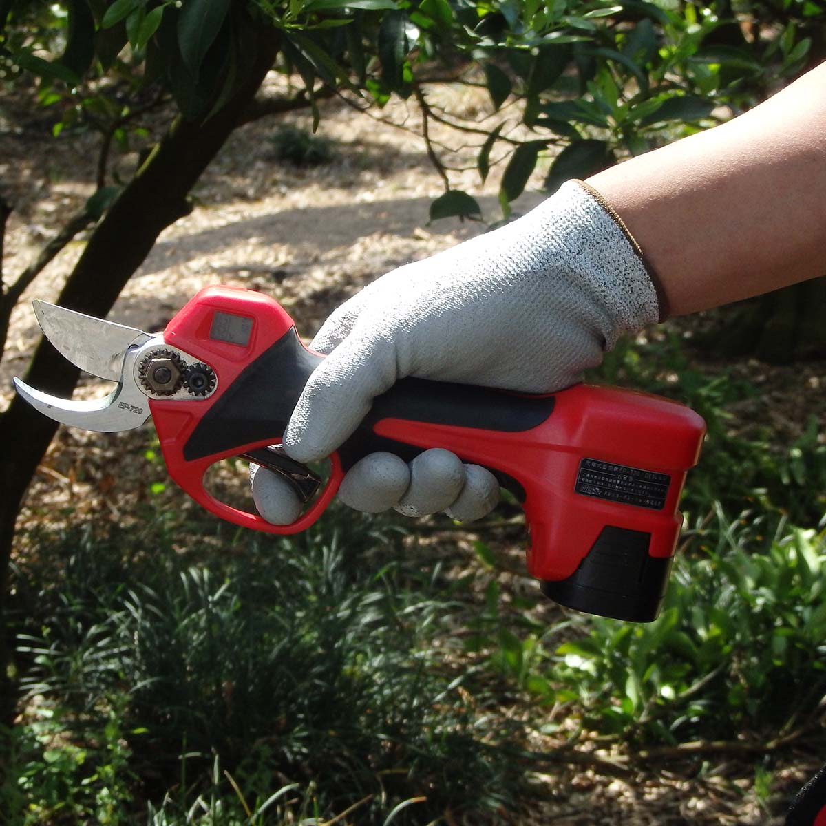 Hånd med handske holder rød elektrisk beskæresaks