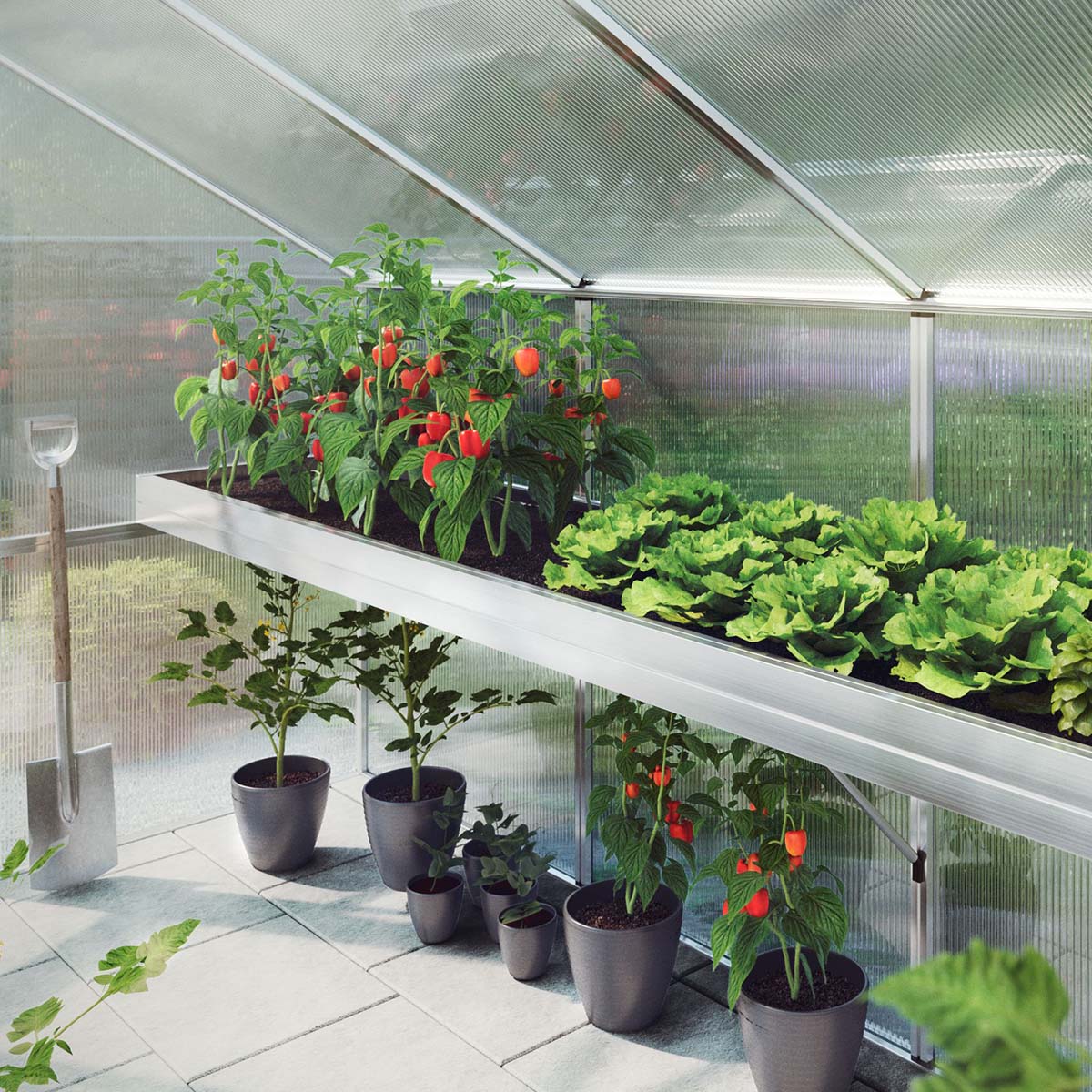 Plantebakke - Novum IV