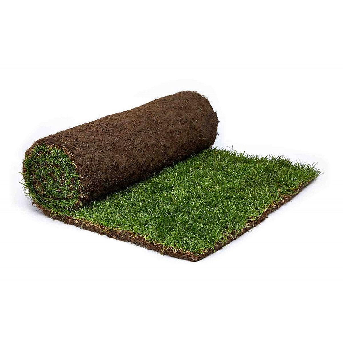 Rullegræs - pris per m2