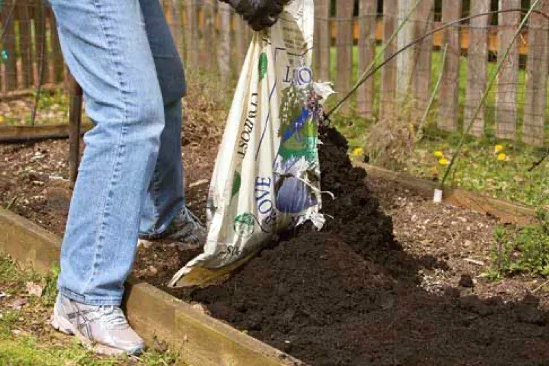 4c8c979589ada143ed164556a6bb7eac