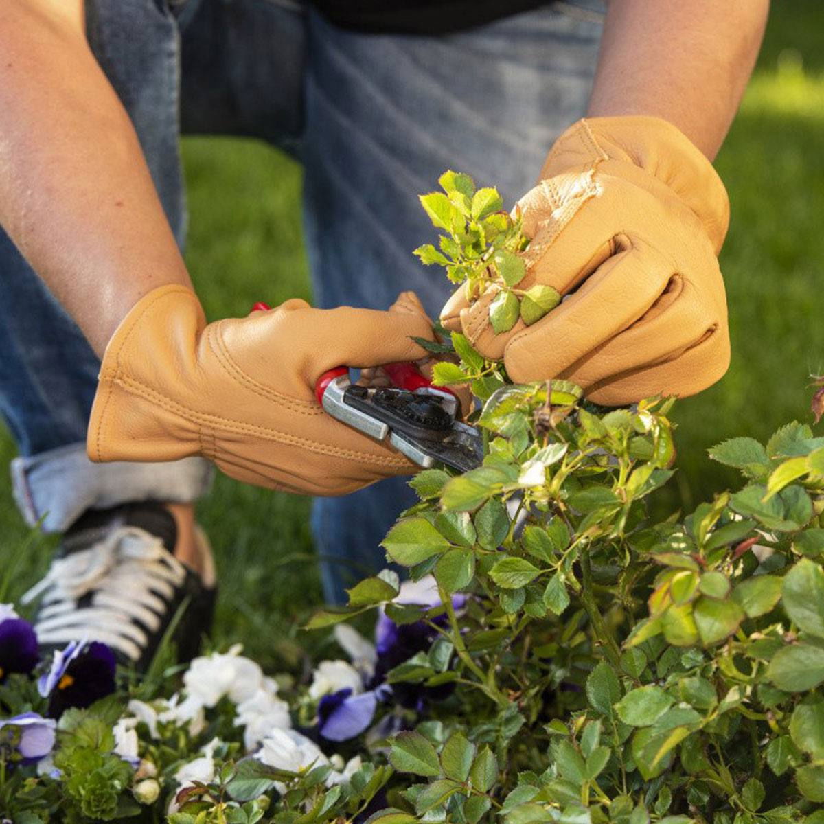 Person beskærer planter med læderhavehandsker