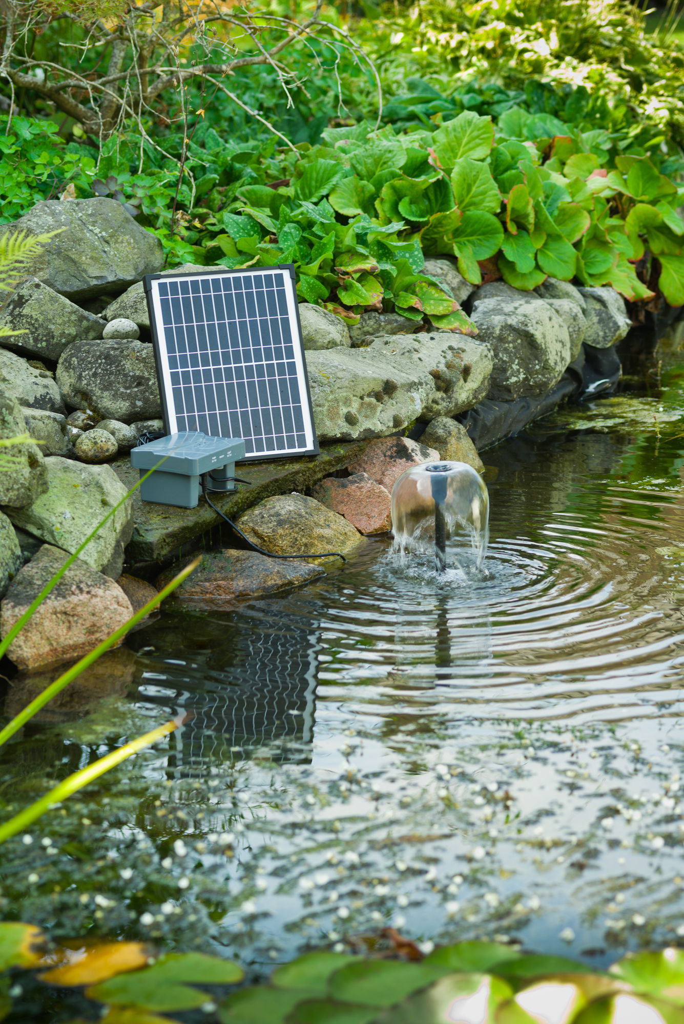 Solcelledrevet pumpe og springvand i havedam