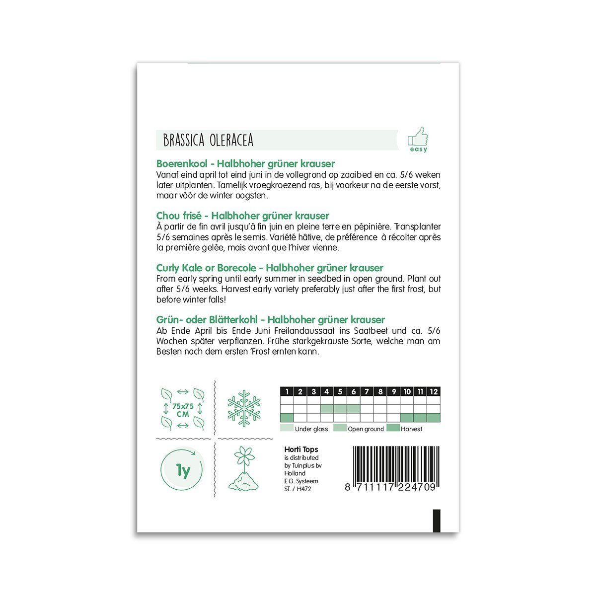 Bagside af frøpose til grønkål, halvhøj grøn kruset