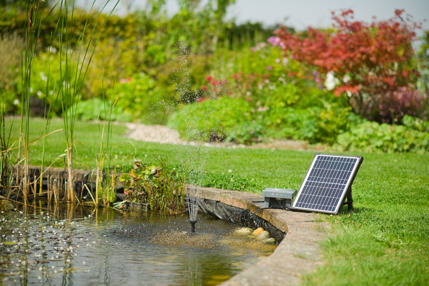 Solcelledrevet havespringvand ved lille dam