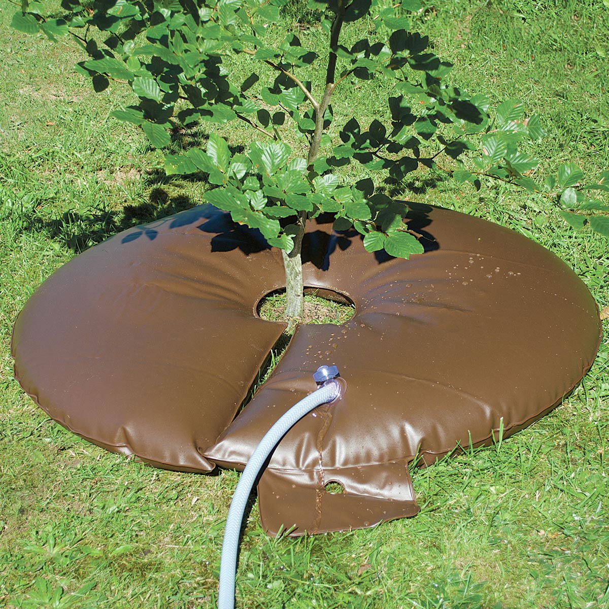 Brun vandingsring rundt om nyplantet træ