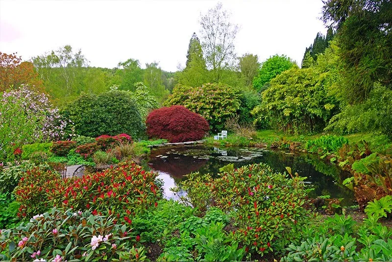 0631db6d24525da245ef669e1bc6a206