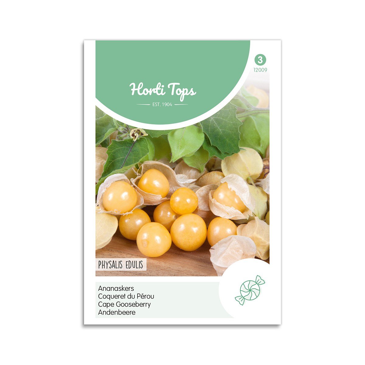 Ananaskirsebær frø "Cape Gooseberry" - Horti Tops