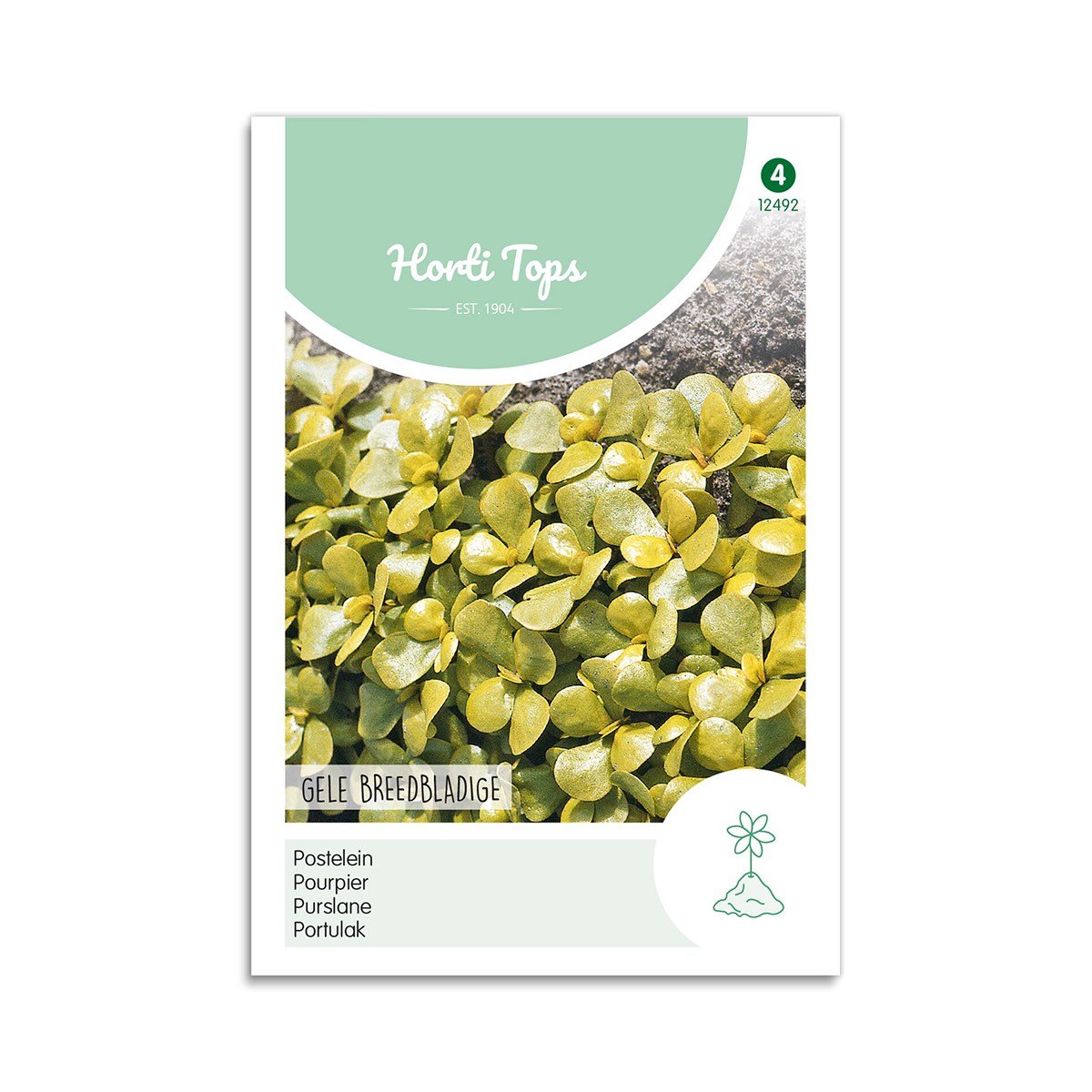 Frøpose med gule bredbladede portulak frø