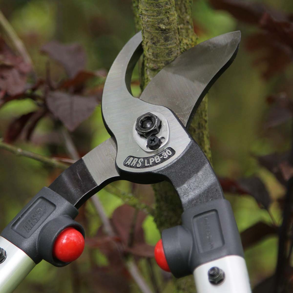 Nærbillede af ARS LPB-30 grensaks i brug på gren