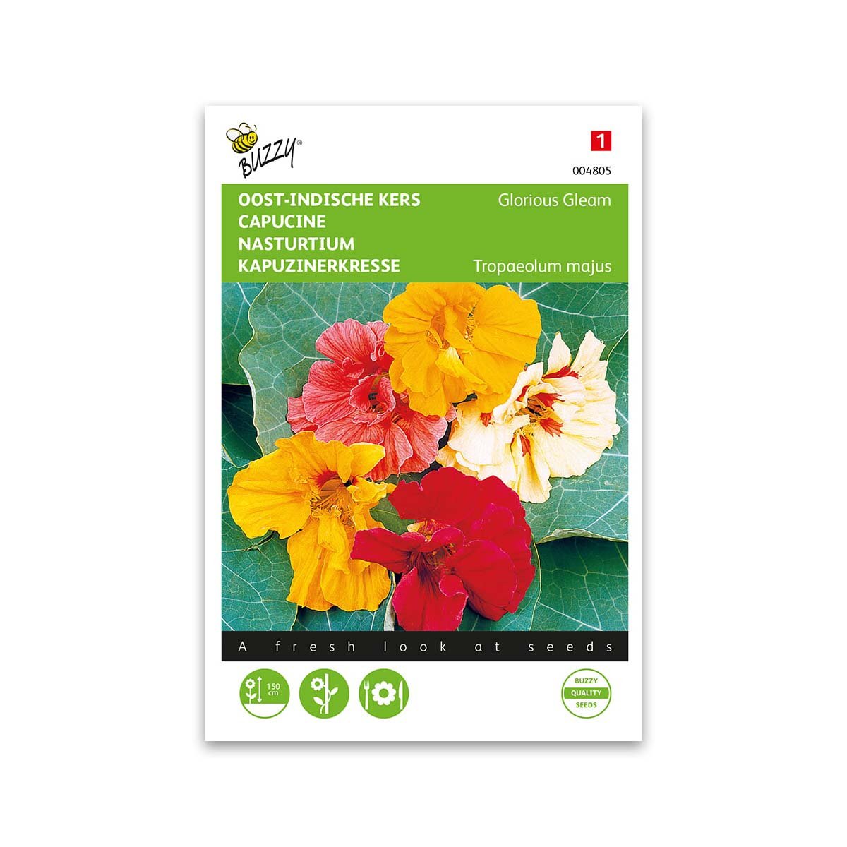 Tallerkensmækker frø, Glorius gleam