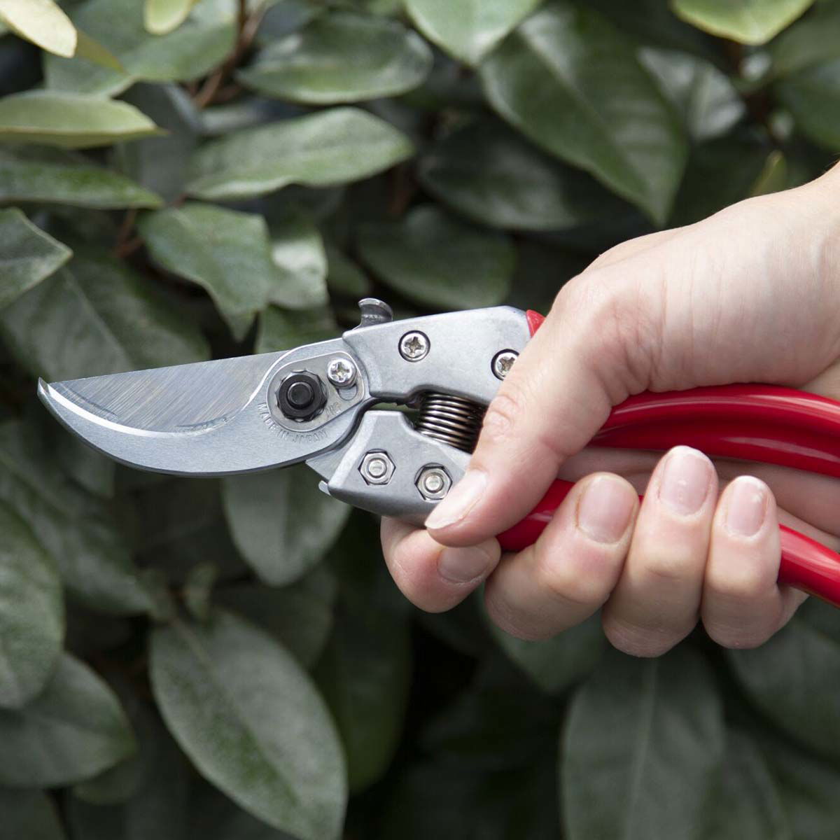 Havebeskærer med rødt håndtag i brug