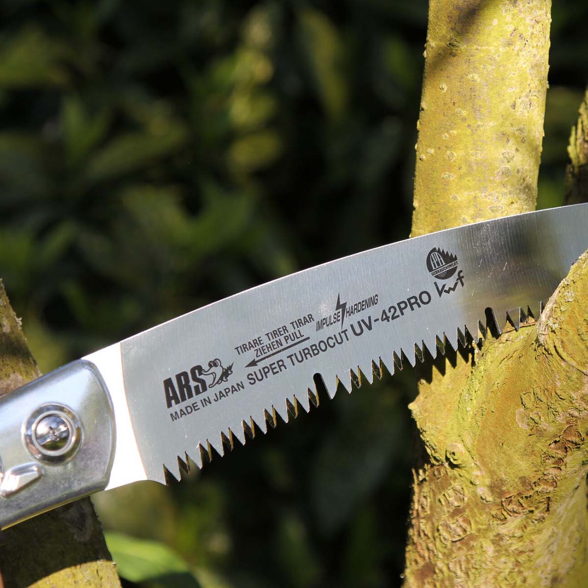 ARS foldesav skærer grene på træ i haven