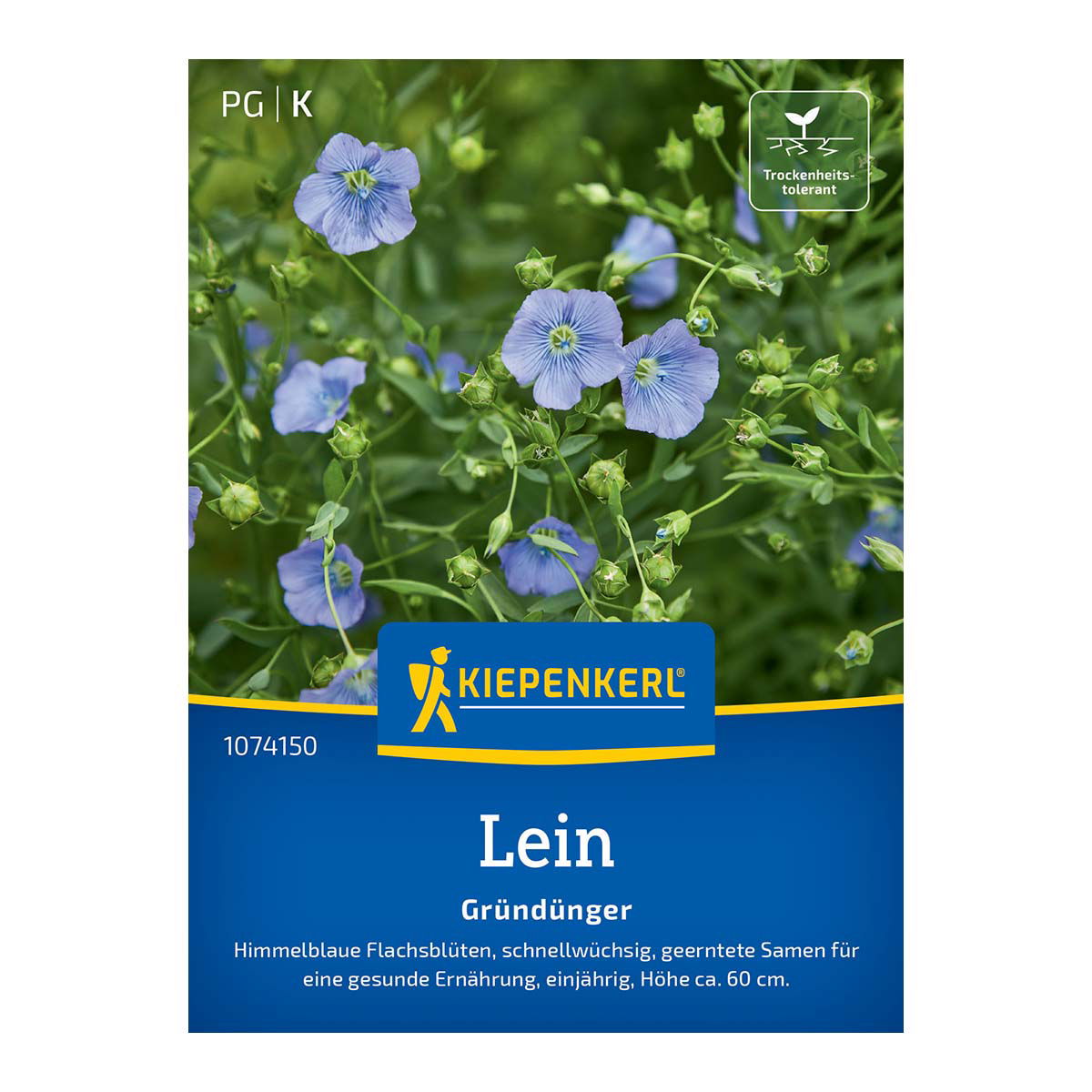 Almindelig hør, frø - 10 m2