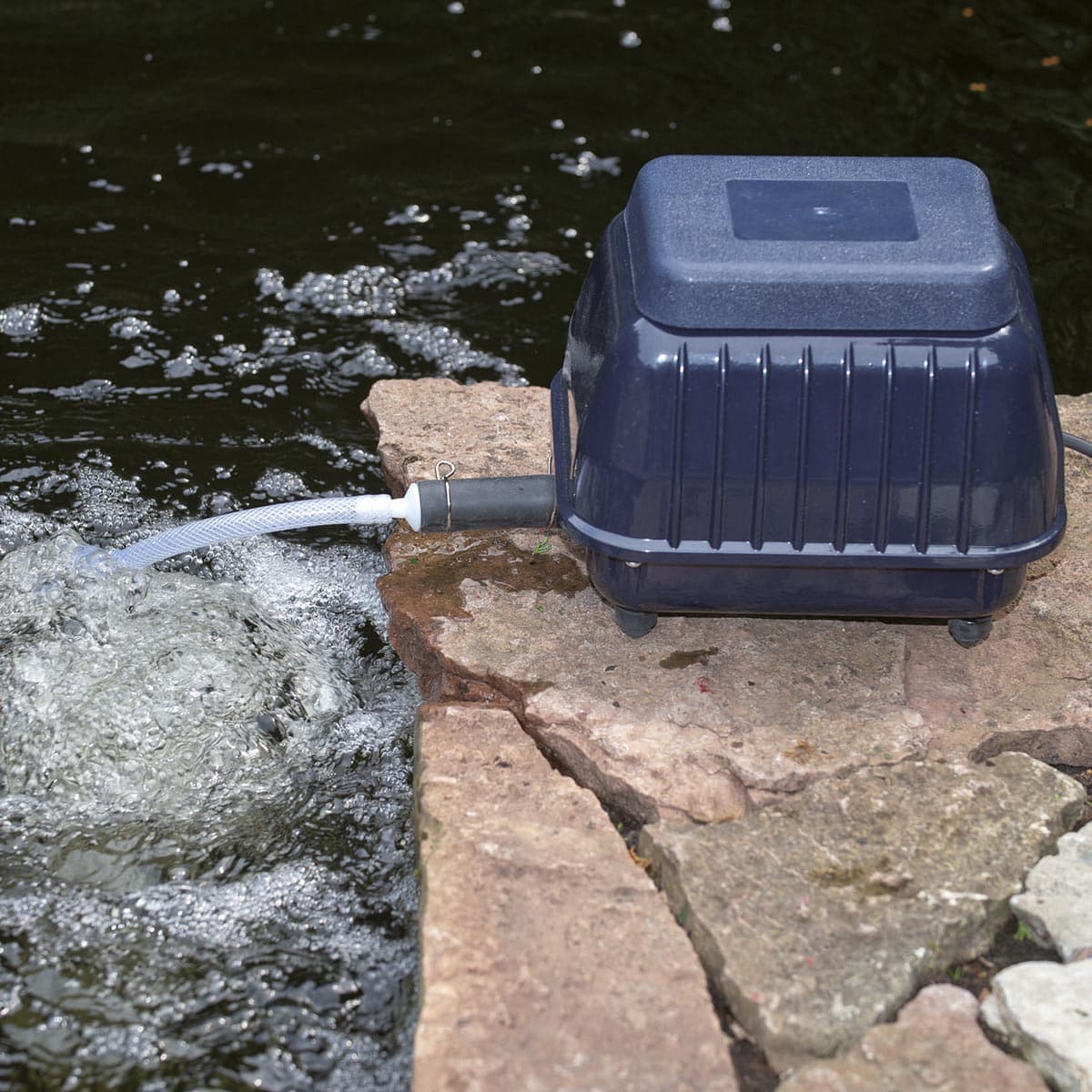 Blå luftpumpe med slange til iltning af havedam