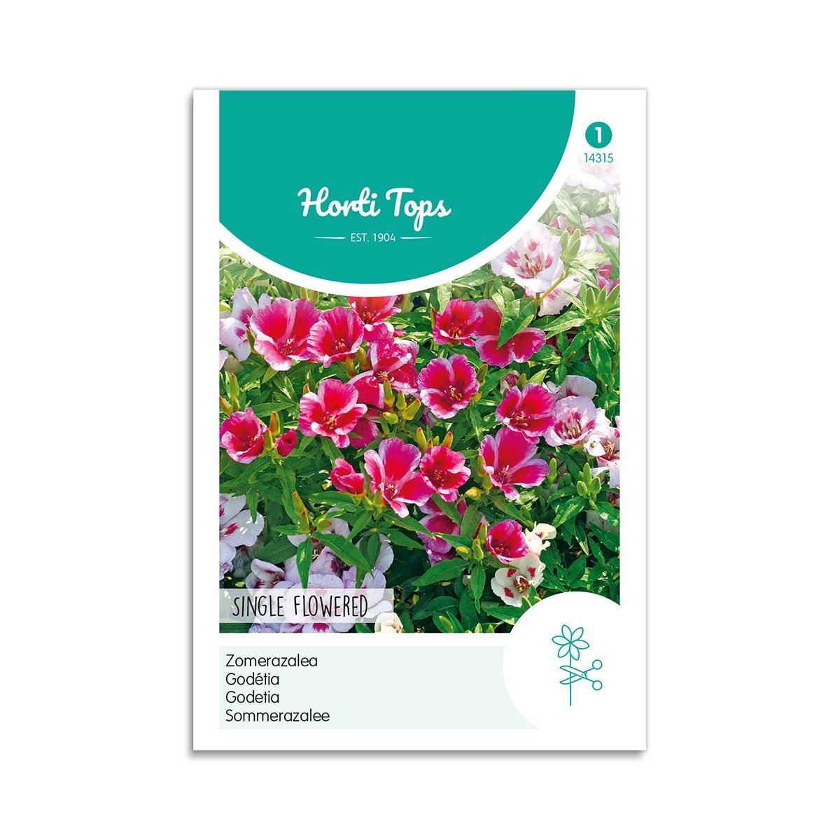 Atlaskblomst frø - Horti Tops