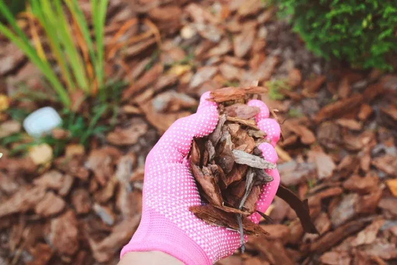 52a7983e3da4b2ac9fec0cb057f8a54a