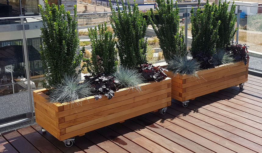 Rektangulære trækasser på hjul med terrasseplanter