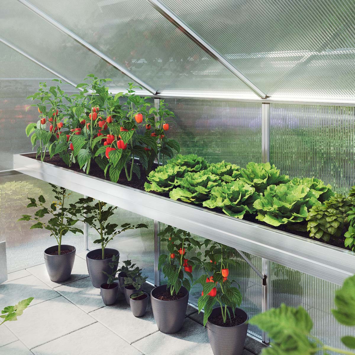 Plantebakke - Orchidee IV