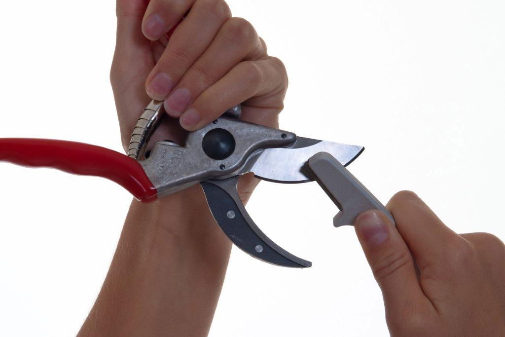 Hånd sliber bladet på en beskæresaks