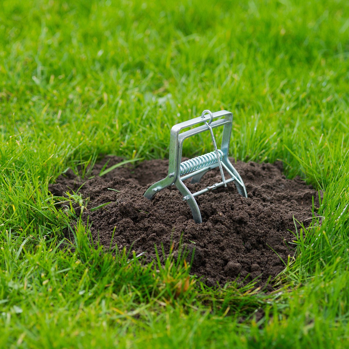 Muldvarpefælde i metal sat i havejord